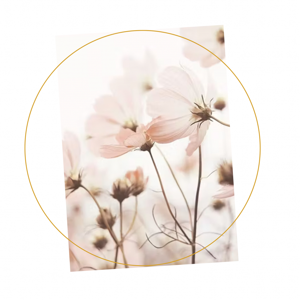 image fleurs de bach
