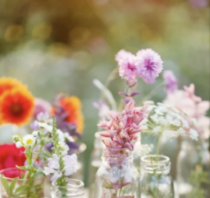 image fleurs de bach